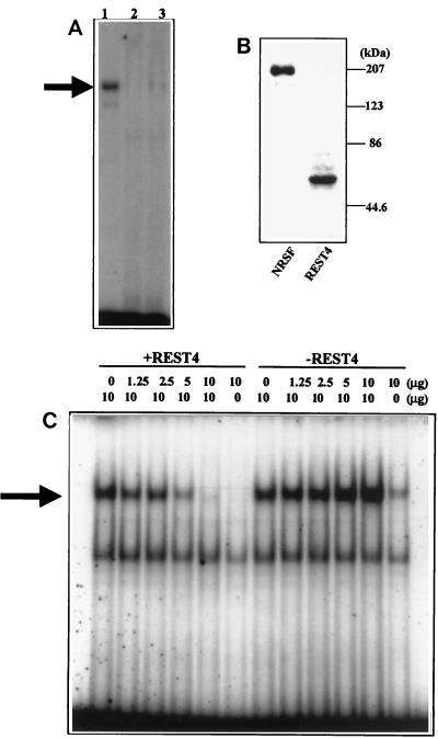 FIG. 6