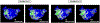 Extended Data Fig. 6 |