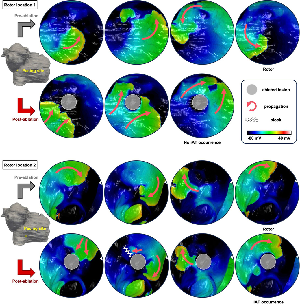 Extended Data Fig. 4 |