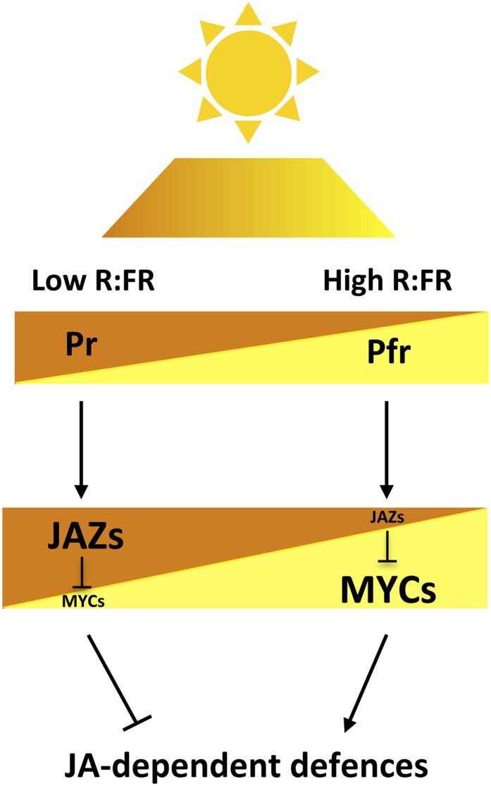 Figure 10.