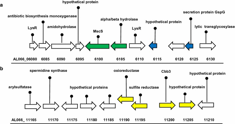 Fig. 2