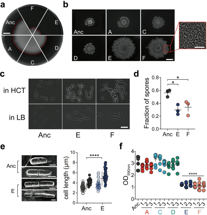 FIG 2