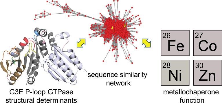 Graphical Abstract