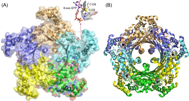 Fig. 9