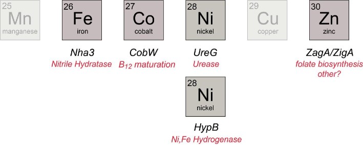 Fig. 2