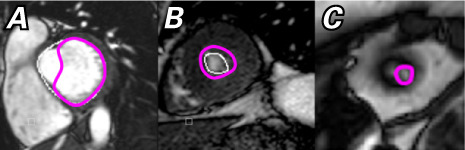 Fig. 6