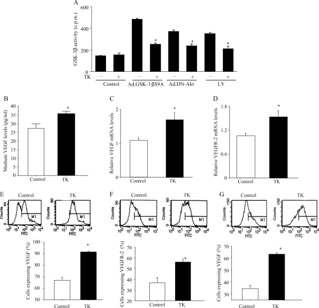 Figure 6