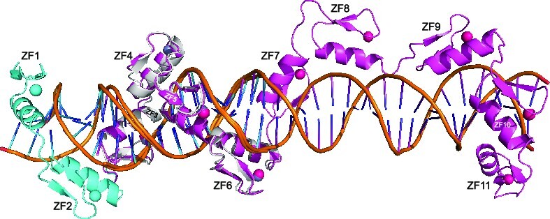 Graphical Abstract