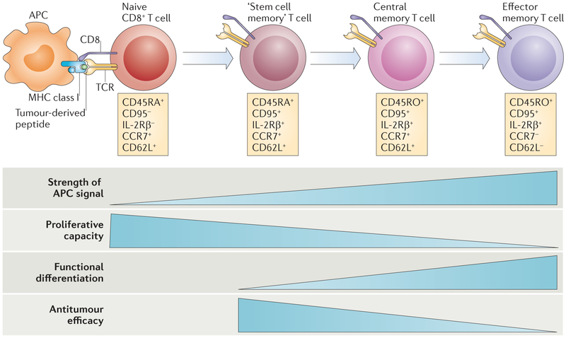 Figure 3 |