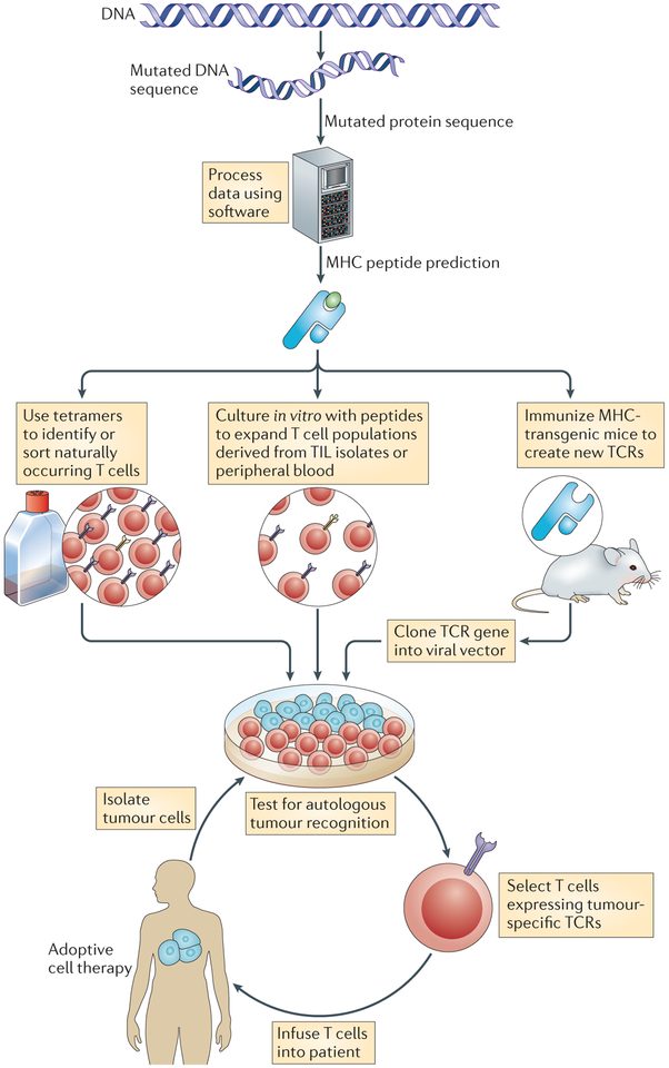 Figure 4 |