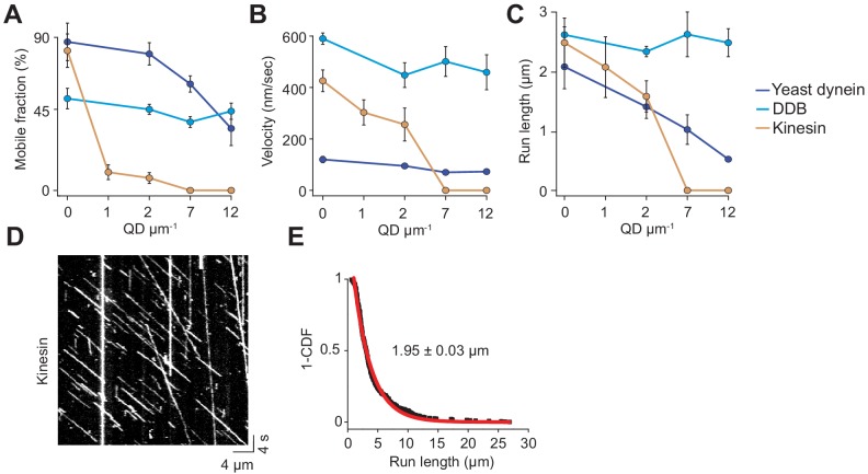 Figure 1—figure supplement 1.