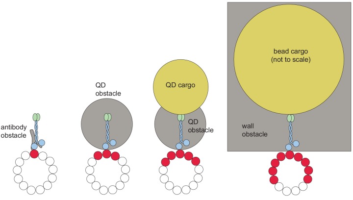 Figure 3—figure supplement 1.