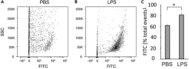 Figure 5