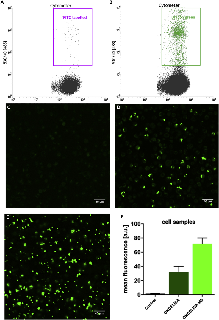 Figure 3