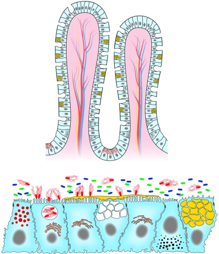 FIG. 1.