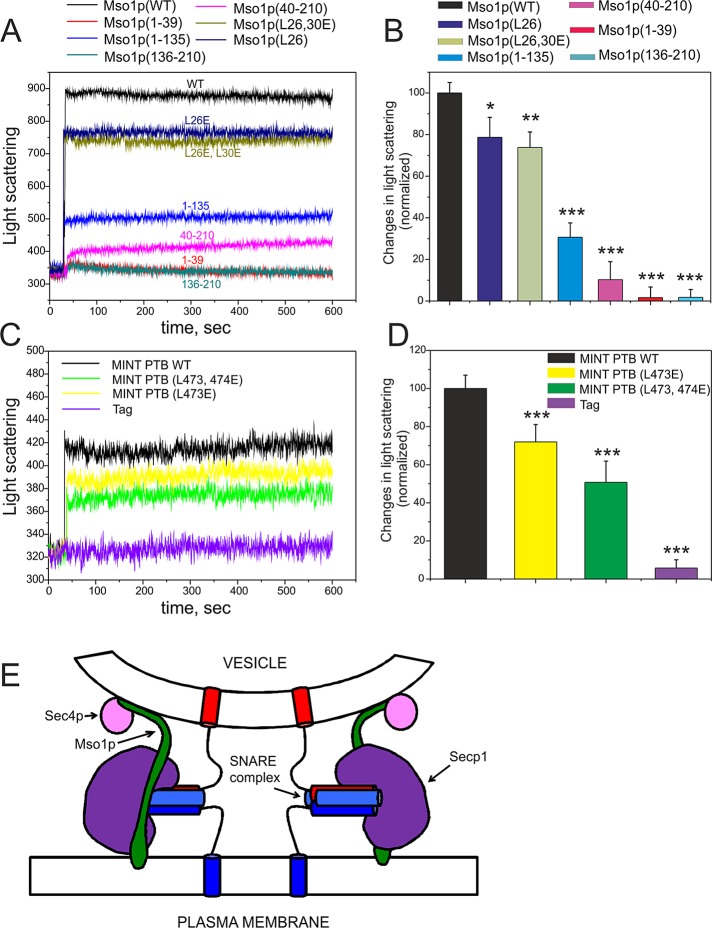 FIGURE 6: