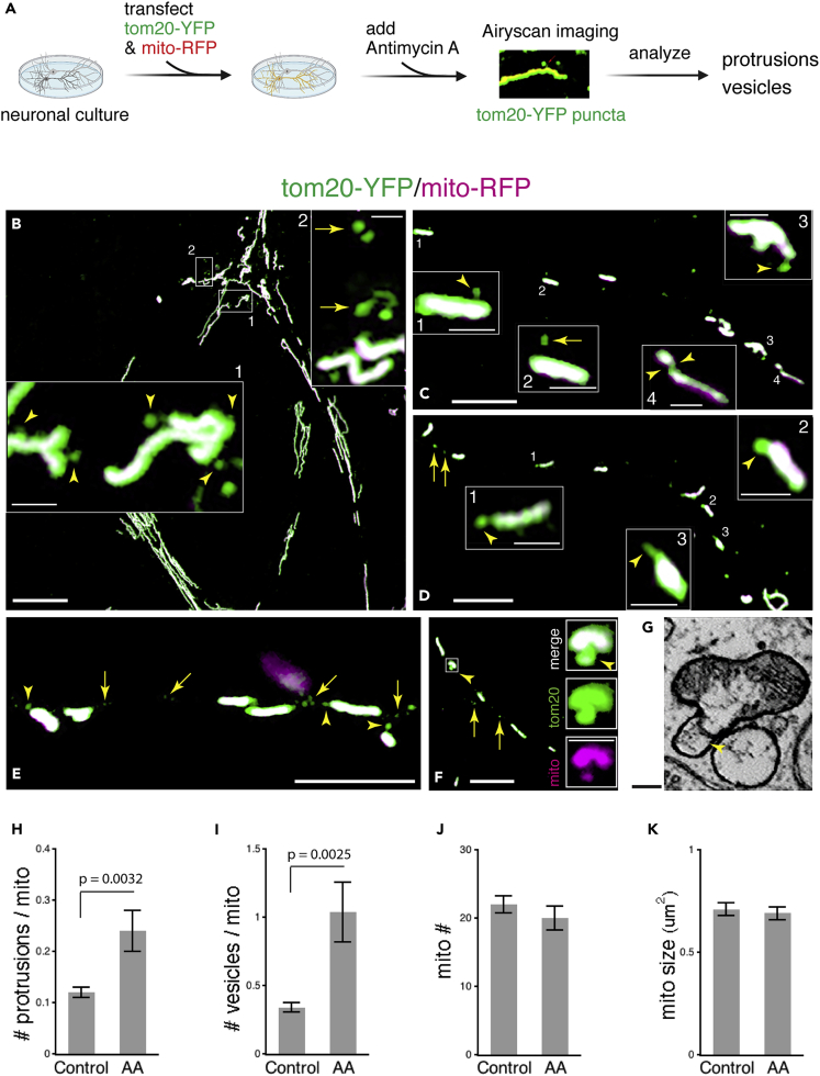 Figure 6