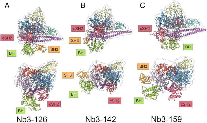 Fig. 6.