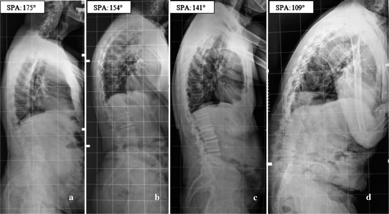 Fig. 2