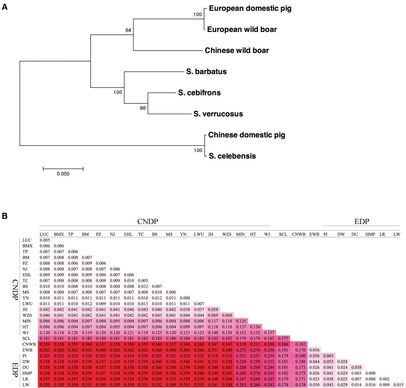 Fig. 6.