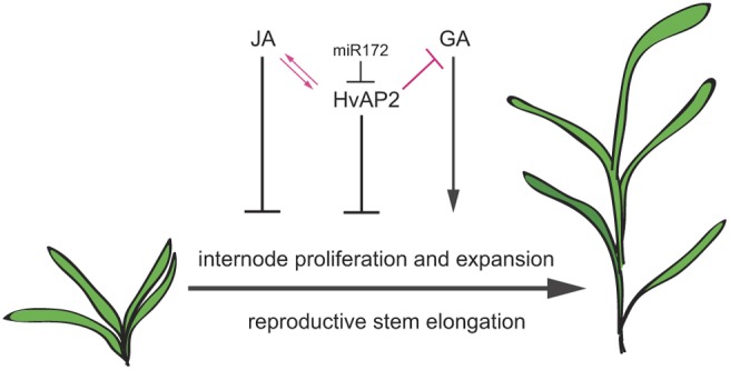 Fig. 8.