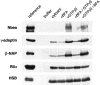 Fig. 10.