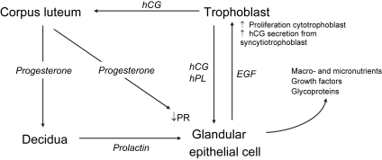 Fig. 2