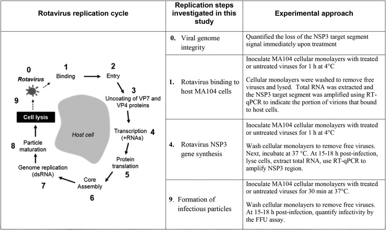 FIG 1