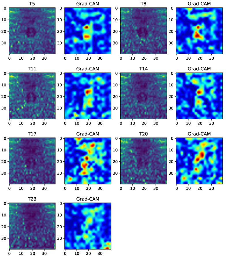 Figure 21