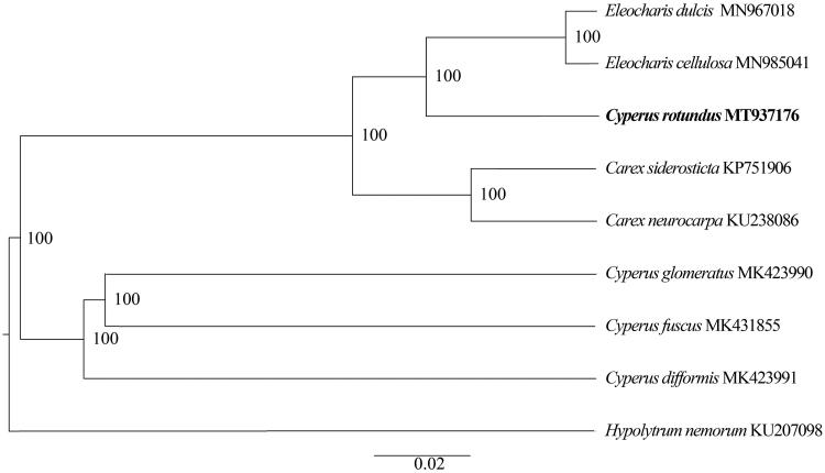 Figure 1.