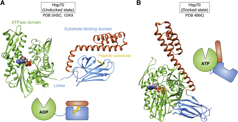 Figure 1