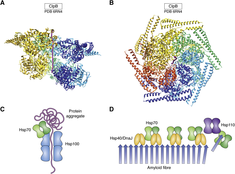 Figure 5