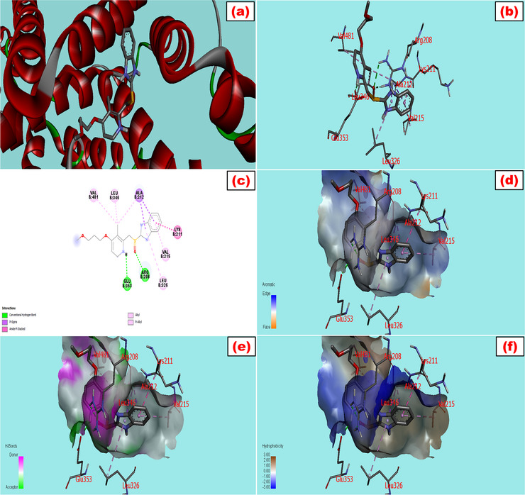 FIGURE 2