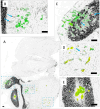 Fig. 9