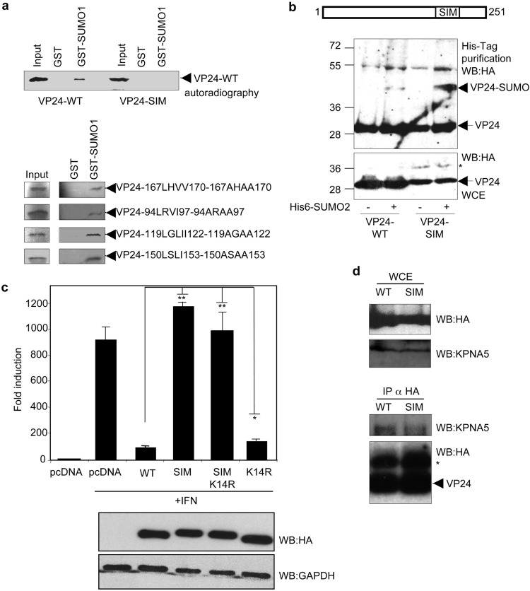 FIG 3