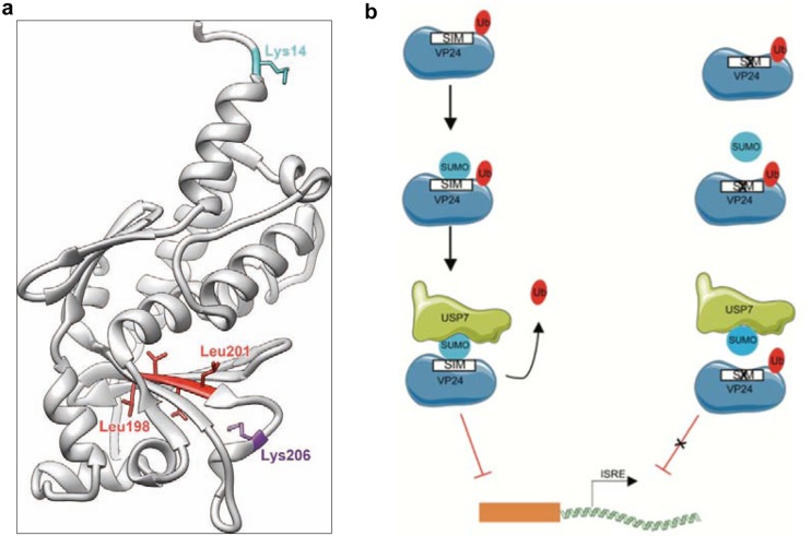 FIG 6