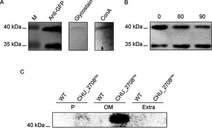 FIG 2