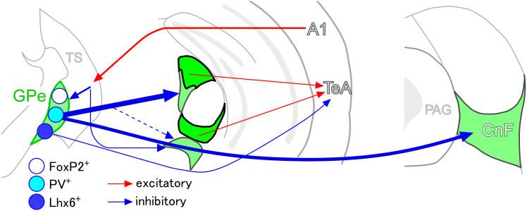 Figure 13.