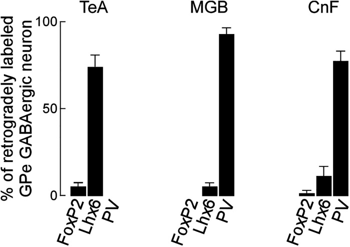 Figure 11.