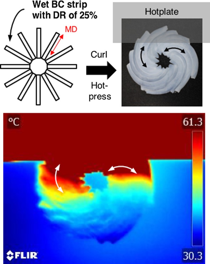 Figure 16.