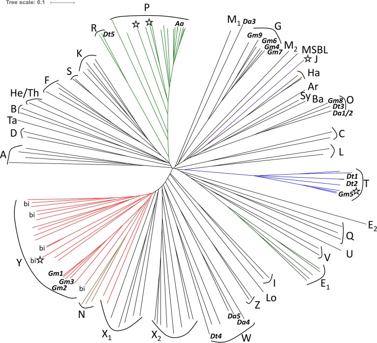 FIG 6