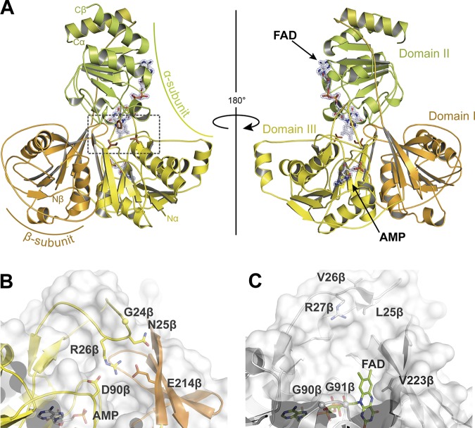 FIG 4