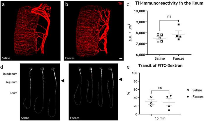 FIG 3