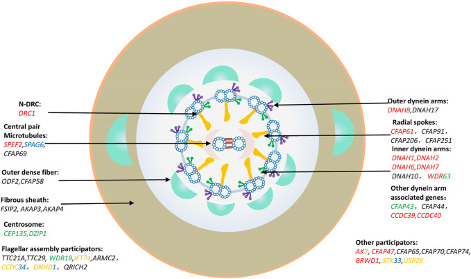 FIGURE 2