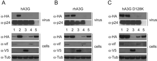 FIG. 4.