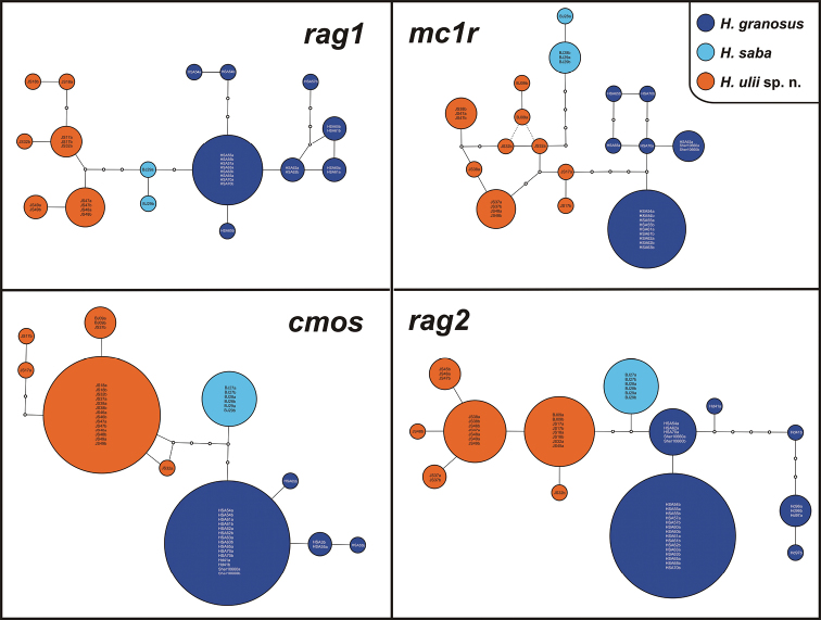 Figure 3.