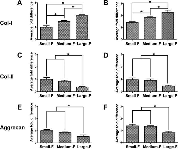 Figure 6