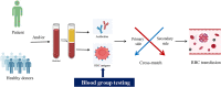 Graphical Abstract