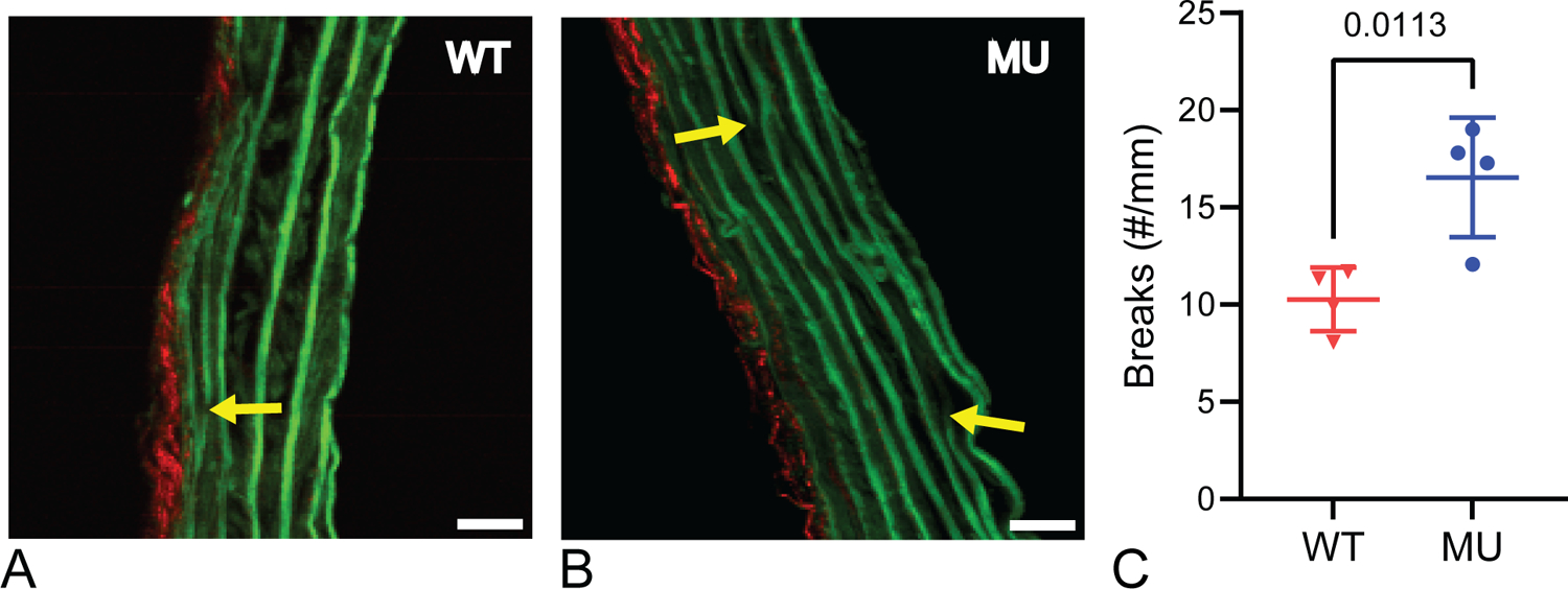 Figure 5.