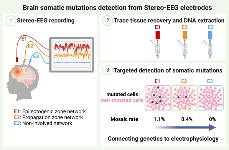 Graphical Abstract